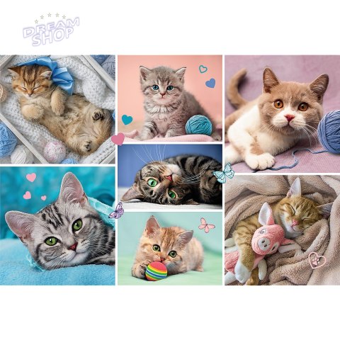 Puzzle - 100 - W kocim świecie - Trefl 16420 Puzzle - 100 - W kocim świecie - Trefl 16420