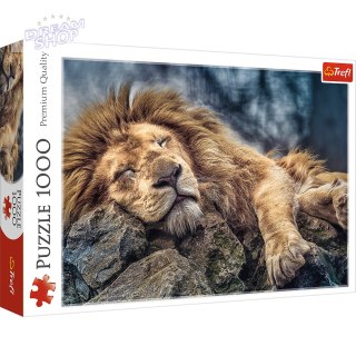 Puzzle - 1000 - Śpiący lew / 500 px 10447