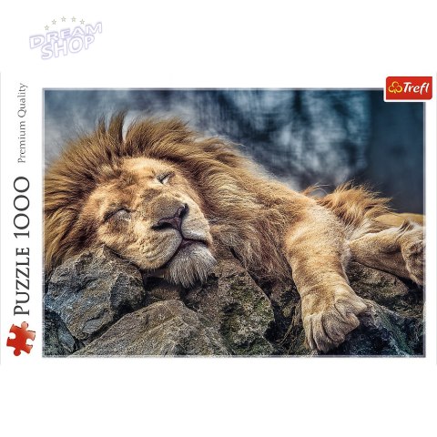 Puzzle - 1000 - Śpiący lew / 500 px 10447 Puzzle - 1000 - Śpiący lew / 500 px 10447