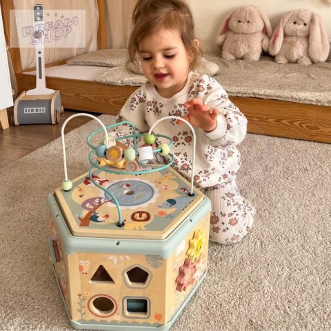 TOOKY TOY Interaktywny Drewniany Sześciokąt Montessori Otwierane Pudełko TOOKY TOY Interaktywny Drewniany Sześciokąt Montessori Otwierane Pudełko