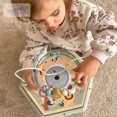 TOOKY TOY Interaktywny Drewniany Sześciokąt Montessori Otwierane Pudełko TOOKY TOY Interaktywny Drewniany Sześciokąt Montessori Otwierane Pudełko