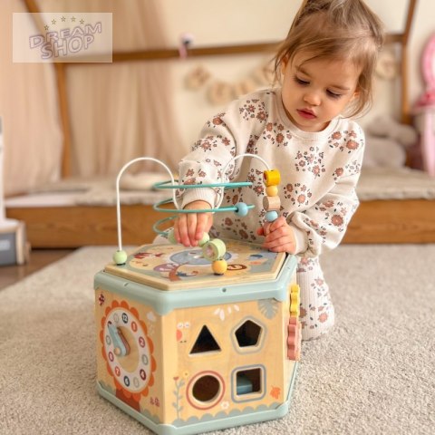 TOOKY TOY Interaktywny Drewniany Sześciokąt Montessori Otwierane Pudełko TOOKY TOY Interaktywny Drewniany Sześciokąt Montessori Otwierane Pudełko