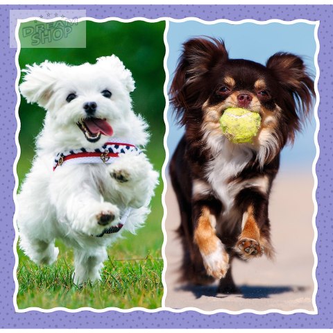 Puzzle - 3w1 - Urocze pieski - Trefl 34854