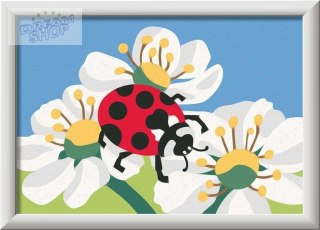 CreArt dla dzieci: Wild Animals Biedronka
