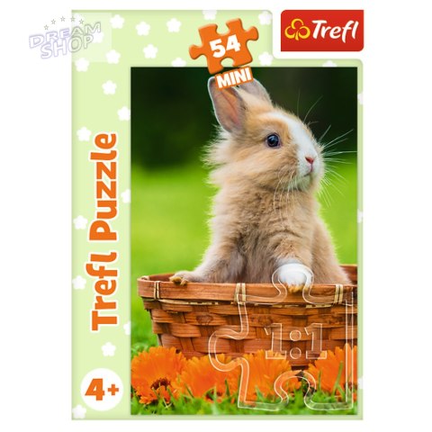 Puzzle - 54 mini - Urocze zwierzątka - Trefl 54195 Puzzle - 54 mini - Urocze zwierzątka - Trefl 54195
