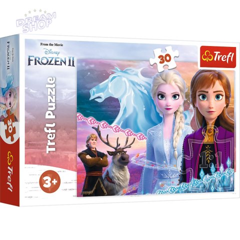 Puzzle - 30 - Odwaga sióstr - Disney Frozen 2 18253 Puzzle - 30 - Odwaga sióstr - Disney Frozen 2 18253