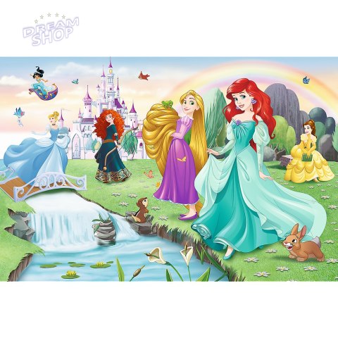 Puzzle - 60 - Poznaj Księżniczki - Disney Princess Trefl 17361 Puzzle - 60 - Poznaj Księżniczki - Disney Princess Trefl 17361
