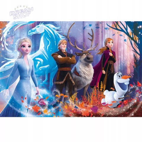 Puzzle Kraina Lodu Frozen 100 el. Magia Krainy lodu Trefl 16366 Puzzle Kraina Lodu Frozen 100 el. Magia Krainy lodu Trefl 16366