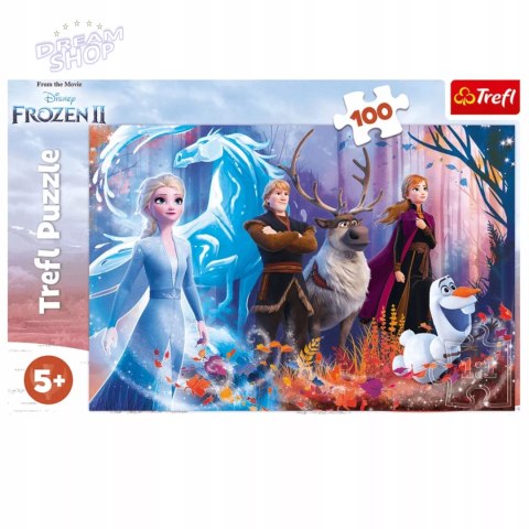 Puzzle Kraina Lodu Frozen 100 el. Magia Krainy lodu Trefl 16366 Puzzle Kraina Lodu Frozen 100 el. Magia Krainy lodu Trefl 16366