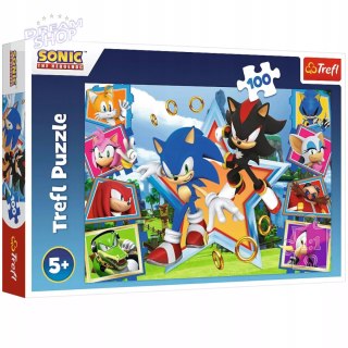 Puzzle Sonic 100 elementów Poznaj Sonica Trefl 16465