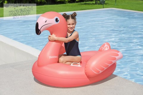 Bestway 41525 Bestway 41525