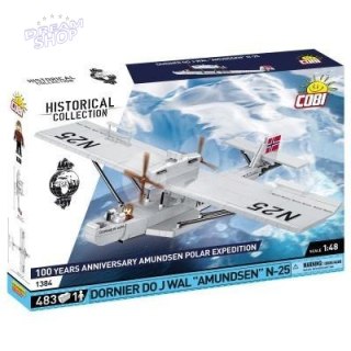 Dornier Do J Wal Amundsen N -25
