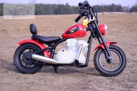 REWELACYJNY MOTOR SPEED 12 PLUS POMPOWANE KOŁA, STALOWA RAMA/A9902 REWELACYJNY MOTOR SPEED 12 PLUS POMPOWANE KOŁA, STALOWA RAMA/A9902
