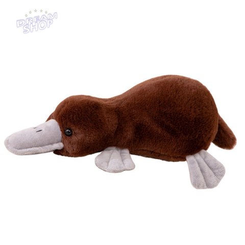 Maskotka Pluszowa Przytulanka Dziobak Brązowy 32cm Maskotka Pluszowa Przytulanka Dziobak Brązowy 32cm