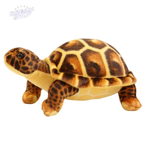 Maskotka Pluszowa Żółw Przytulanka Pluszak Brązowy 25cm Maskotka Pluszowa Żółw Przytulanka Pluszak Brązowy 25cm