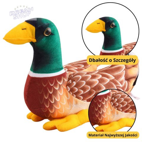 Pluszowa Maskotka Przytulanka Kaczka Brązowo Zielona 28cm Pluszowa Maskotka Przytulanka Kaczka Brązowo Zielona 28cm