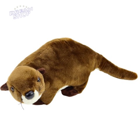 Pluszowa Maskotka Przytulanka Wydra Brązowa 37cm Pluszowa Maskotka Przytulanka Wydra Brązowa 37cm