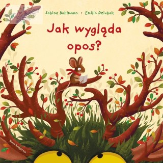 Jak wygląda opos?