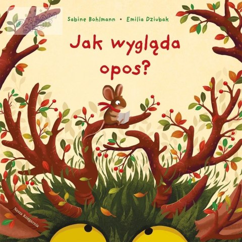 Jak wygląda opos? Jak wygląda opos?