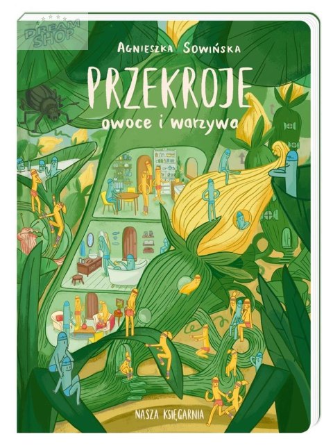 Przekroje: owoce i warzywa Przekroje: owoce i warzywa
