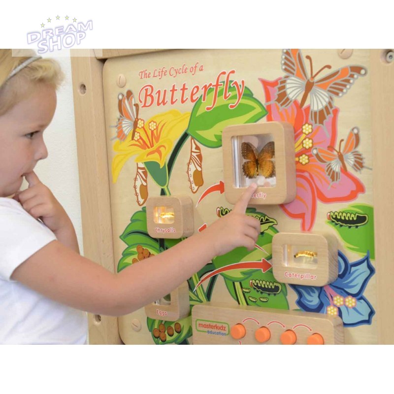 Cykl Życia Motylka Tablica Edukacyjna Masterkidz Cykl Życia Motylka Tablica Edukacyjna Masterkidz
