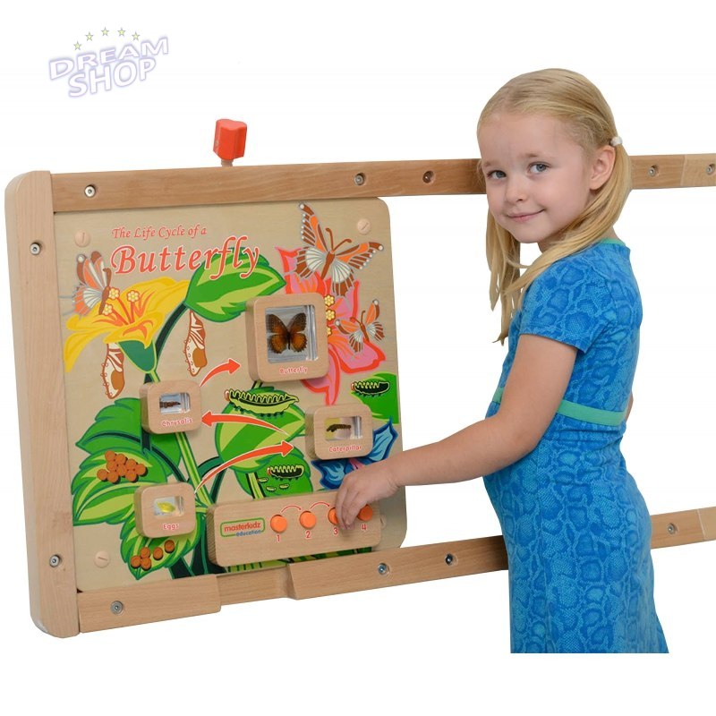 Cykl Życia Motylka Tablica Edukacyjna Masterkidz Cykl Życia Motylka Tablica Edukacyjna Masterkidz