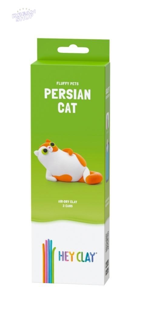 Hej Clay - Kot perski Hej Clay - Kot perski