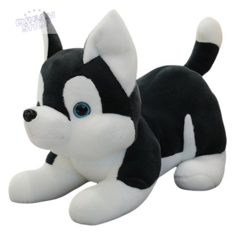 Pluszowa Maskotka Przytulanka Piesek Husky Czarno-Biały 30cm Pluszowa Maskotka Przytulanka Piesek Husky Czarno-Biały 30cm