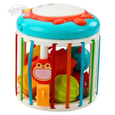 Walec Kostka Sensoryczna Interaktywna Bębenek Lis Światła Dźwięki Kolorowa