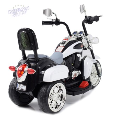 MOTOR CHOPPER Z OPARCIEM, WARKIEM SILNIKA/TR1501 MOTOR CHOPPER Z OPARCIEM, WARKIEM SILNIKA/TR1501
