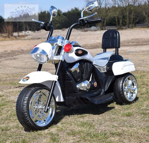 MOTOR CHOPPER Z OPARCIEM, WARKIEM SILNIKA/TR1501 MOTOR CHOPPER Z OPARCIEM, WARKIEM SILNIKA/TR1501