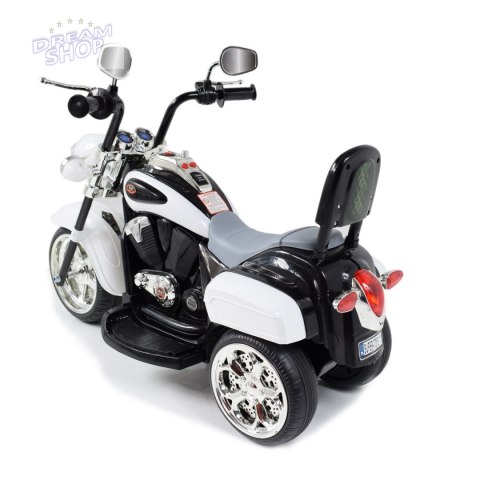 MOTOR CHOPPER Z OPARCIEM, WARKIEM SILNIKA/TR1501 MOTOR CHOPPER Z OPARCIEM, WARKIEM SILNIKA/TR1501