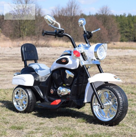 MOTOR CHOPPER Z OPARCIEM, WARKIEM SILNIKA/TR1501 MOTOR CHOPPER Z OPARCIEM, WARKIEM SILNIKA/TR1501