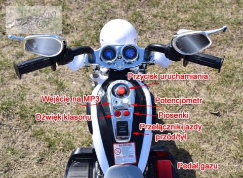 MOTOR CHOPPER Z OPARCIEM, WARKIEM SILNIKA/TR1501 MOTOR CHOPPER Z OPARCIEM, WARKIEM SILNIKA/TR1501