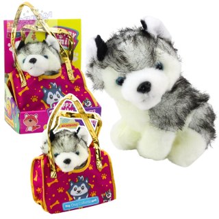 Piesek Husky W Torebce Pluszowy Maskotka Przytulanka Biało Szary