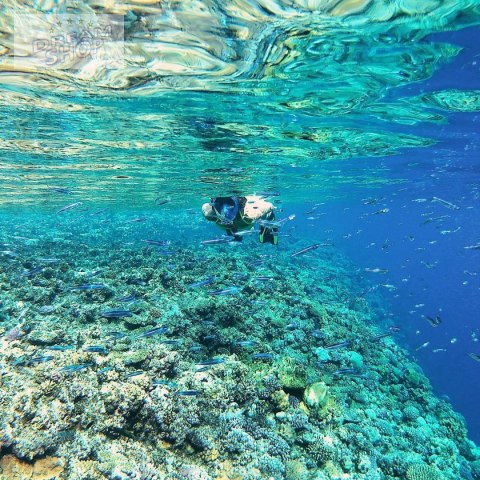 MASKA DO NURKOWANIA SNORKELINGU JUNIOR BEST SPORTING MASKA DO NURKOWANIA SNORKELINGU JUNIOR BEST SPORTING