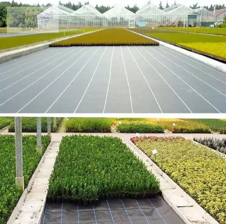 Agrotkanina czarna 1,1x100m UV 135g antychwastowa agrowłóknina + kotwy Agrotkanina czarna 1,1x100m UV 135g antychwastowa agrowłóknina + kotwy