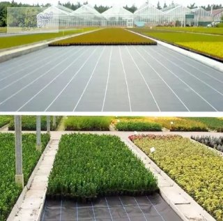 Agrotkanina czarna 1,1x50m UV 135g antychwastowa agrowłóknina + kotwy