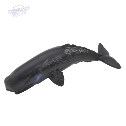 Zestaw Mini Figurek Zwierzęta Morskie Ssaki Orka Fotka Delfin 6-8cm 6szt