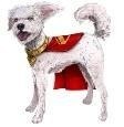 Superman Film: Interaktywny Krypto Superman Film: Interaktywny Krypto