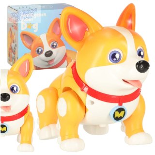 Pies piesek interaktywny robot Corgi świecące uszy muzyka