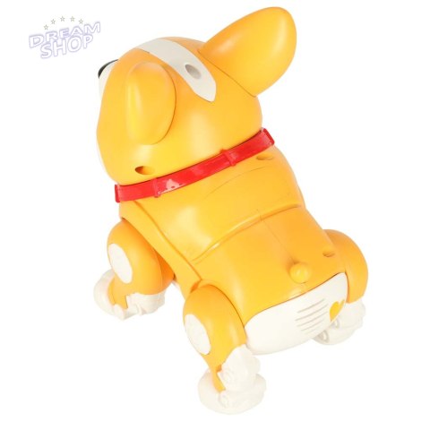 Pies piesek interaktywny robot Corgi świecące uszy muzyka