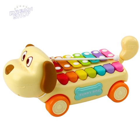 Jeżdżący Piesek Cymbałki Ruchome Uszy Ogon Pałeczka Na Sznurku
