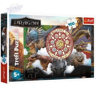 Puzzle 100 - Smoki w akcji - Trefl 16524