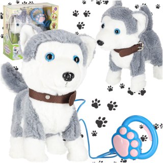 Piesek interaktywny na smyczy szczeka chodzi rusza ogonem Husky