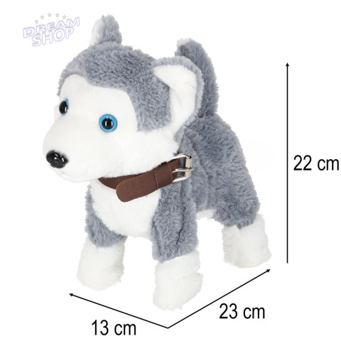 Piesek interaktywny na smyczy szczeka chodzi rusza ogonem Husky