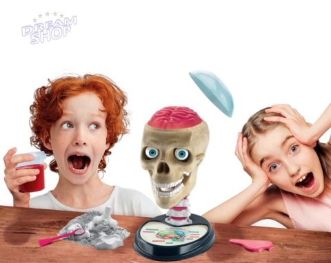 Naukowa Zabawa Zestaw Zwariowana Anatomia Język Polski Clementoni 50697