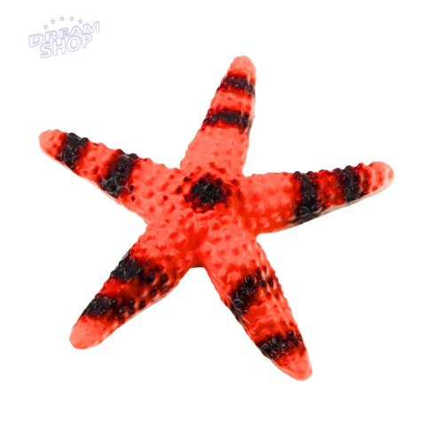 Zestaw Figurki Zwierzęta Morskie Krab Rozgwiazda Kałamarnica Amonit 5szt.