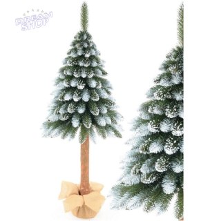CHOINKA NA PNIU 100CM JODŁA DIAMENTOWA