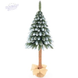 CHOINKA NA PNIU 100CM JODŁA DIAMENTOWA